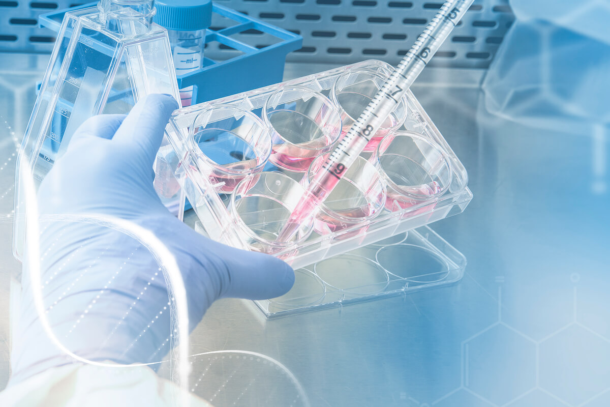 Były kochanek chce testów DNA po latach - co zrobić?